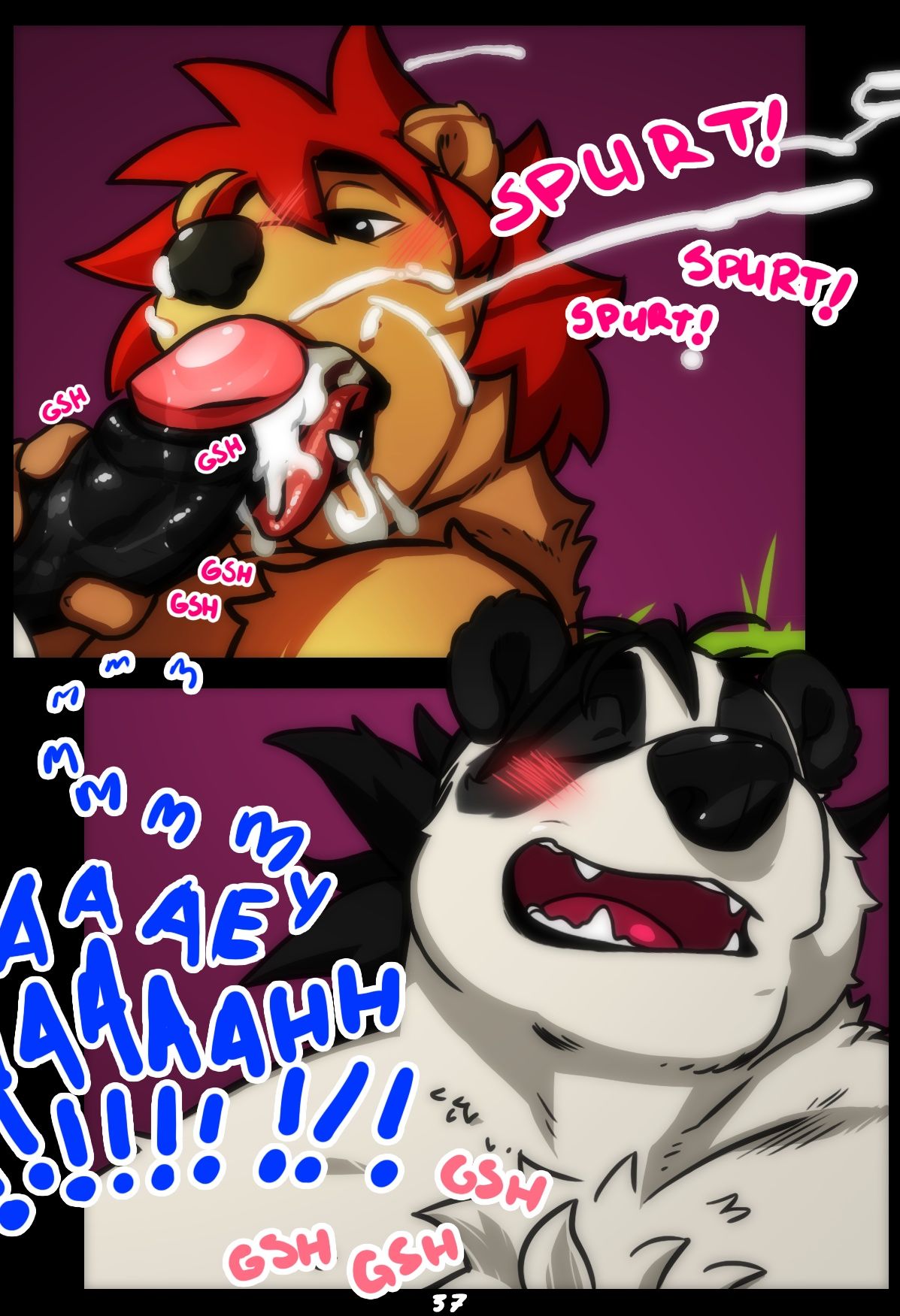 Page 37